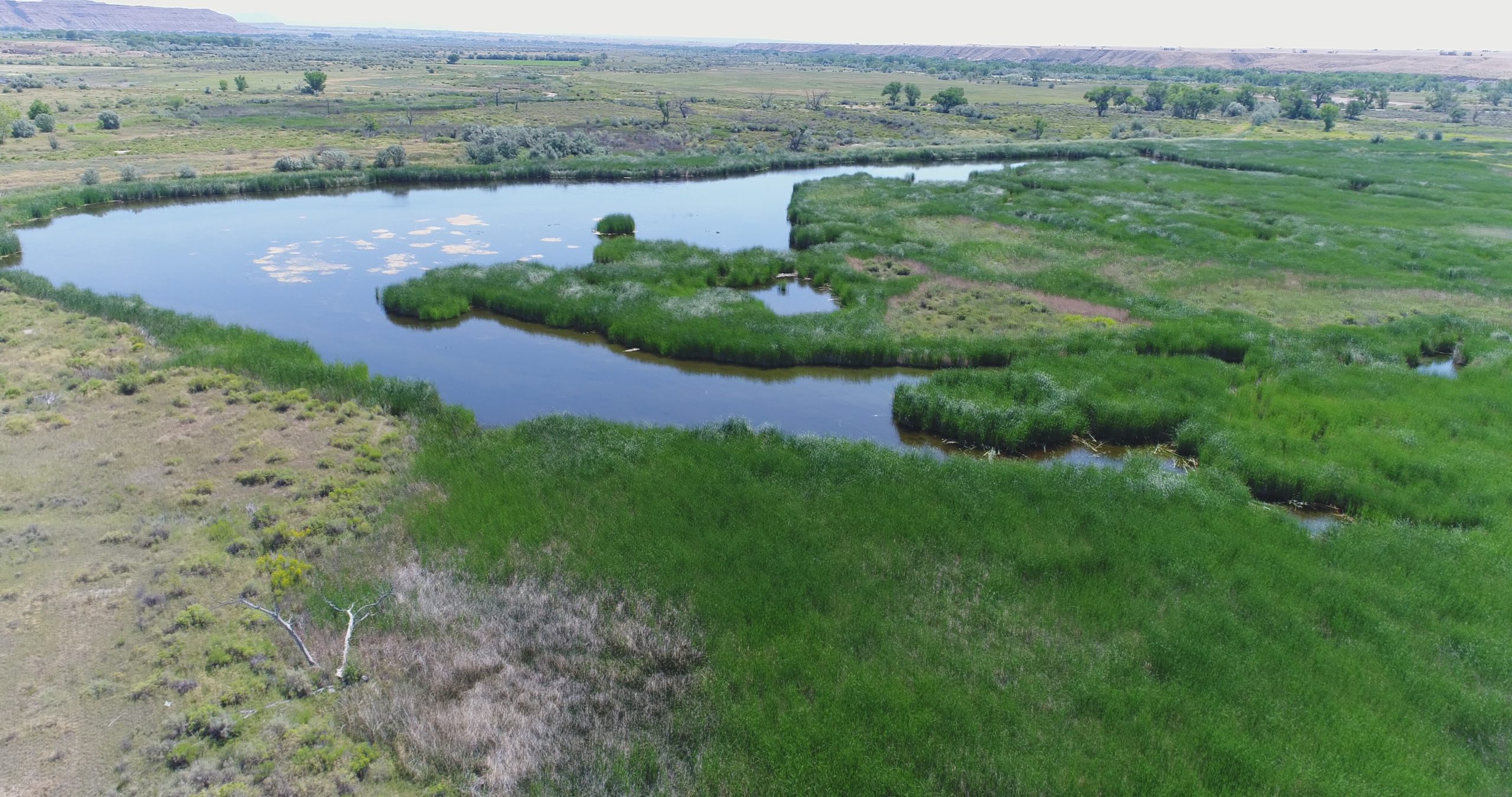 Lower Duchesne Wetlands Project