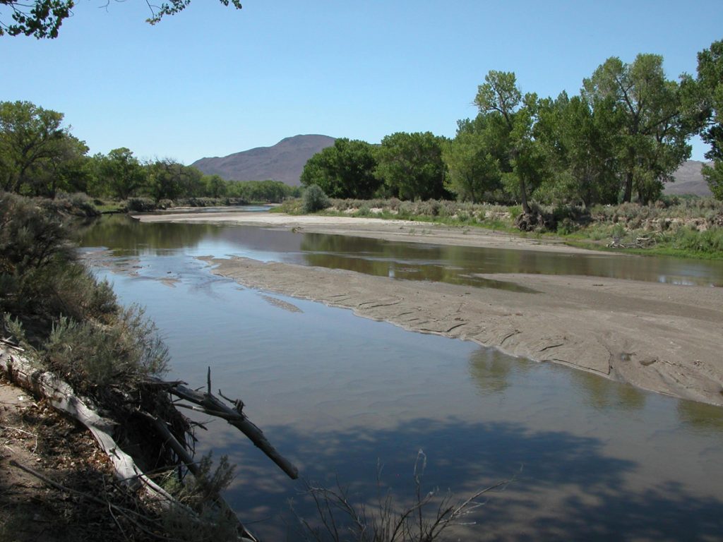 Carson River Study