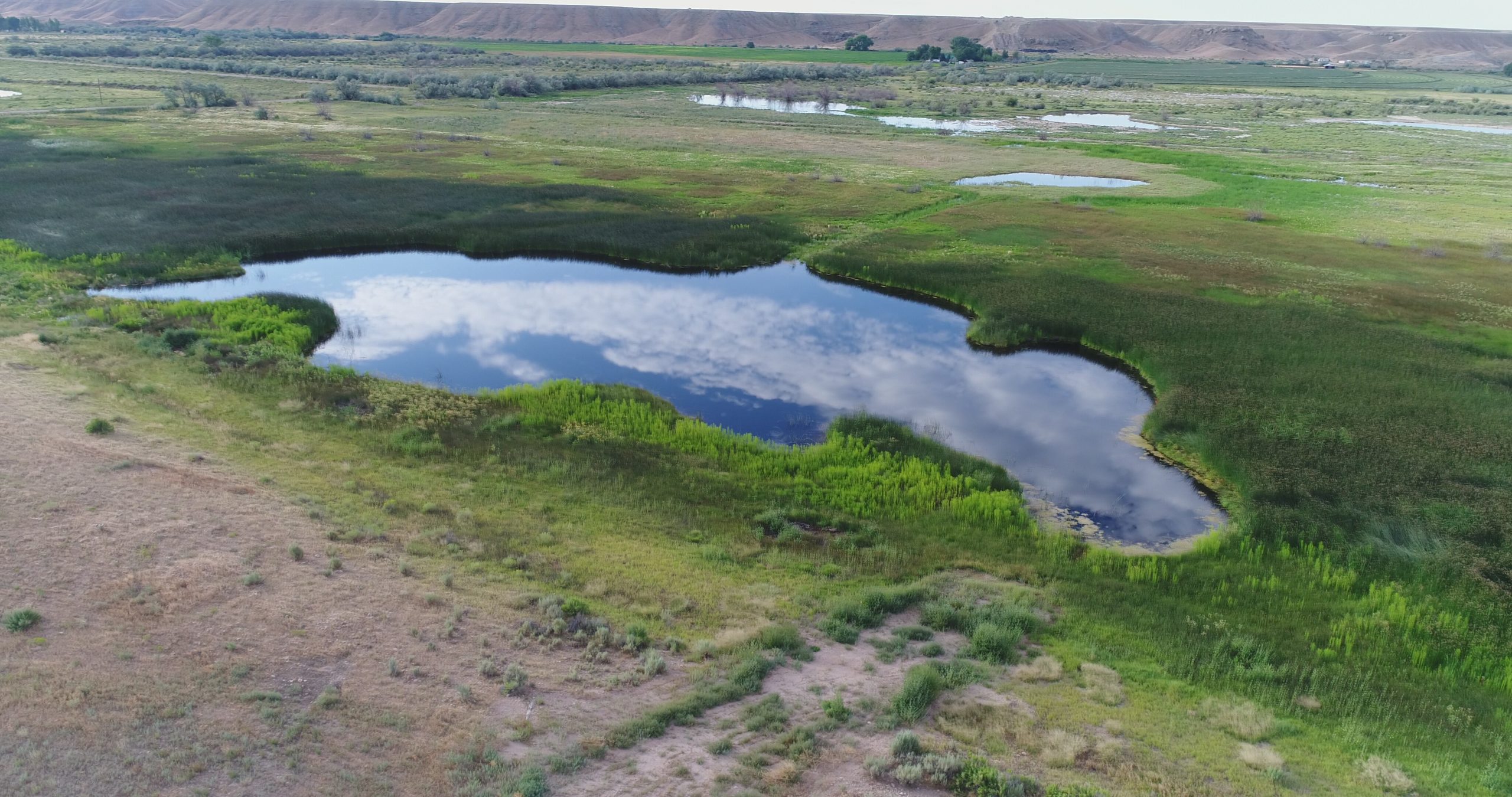 Lower Duchesne Wetlands Project