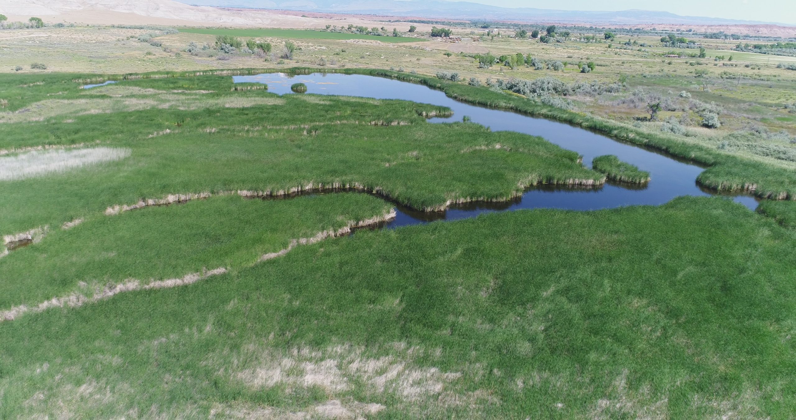 Lower Duchesne Wetlands Project