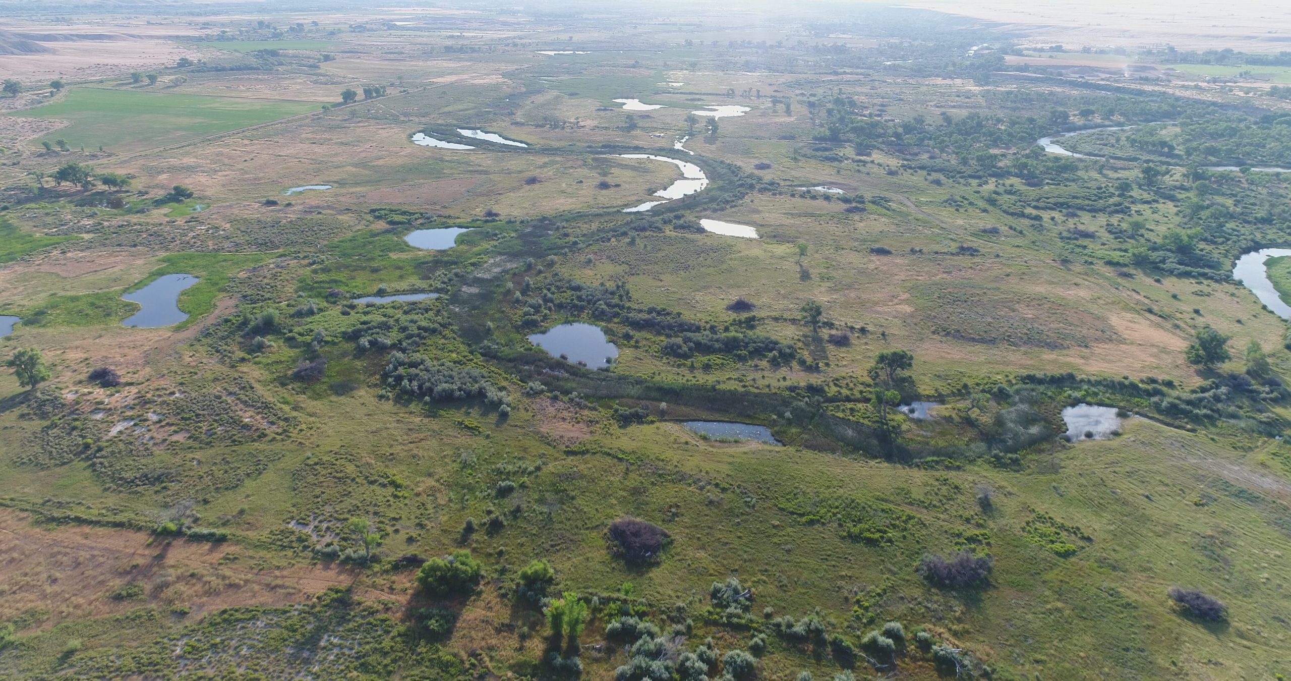 Lower Duchesne Wetlands Project