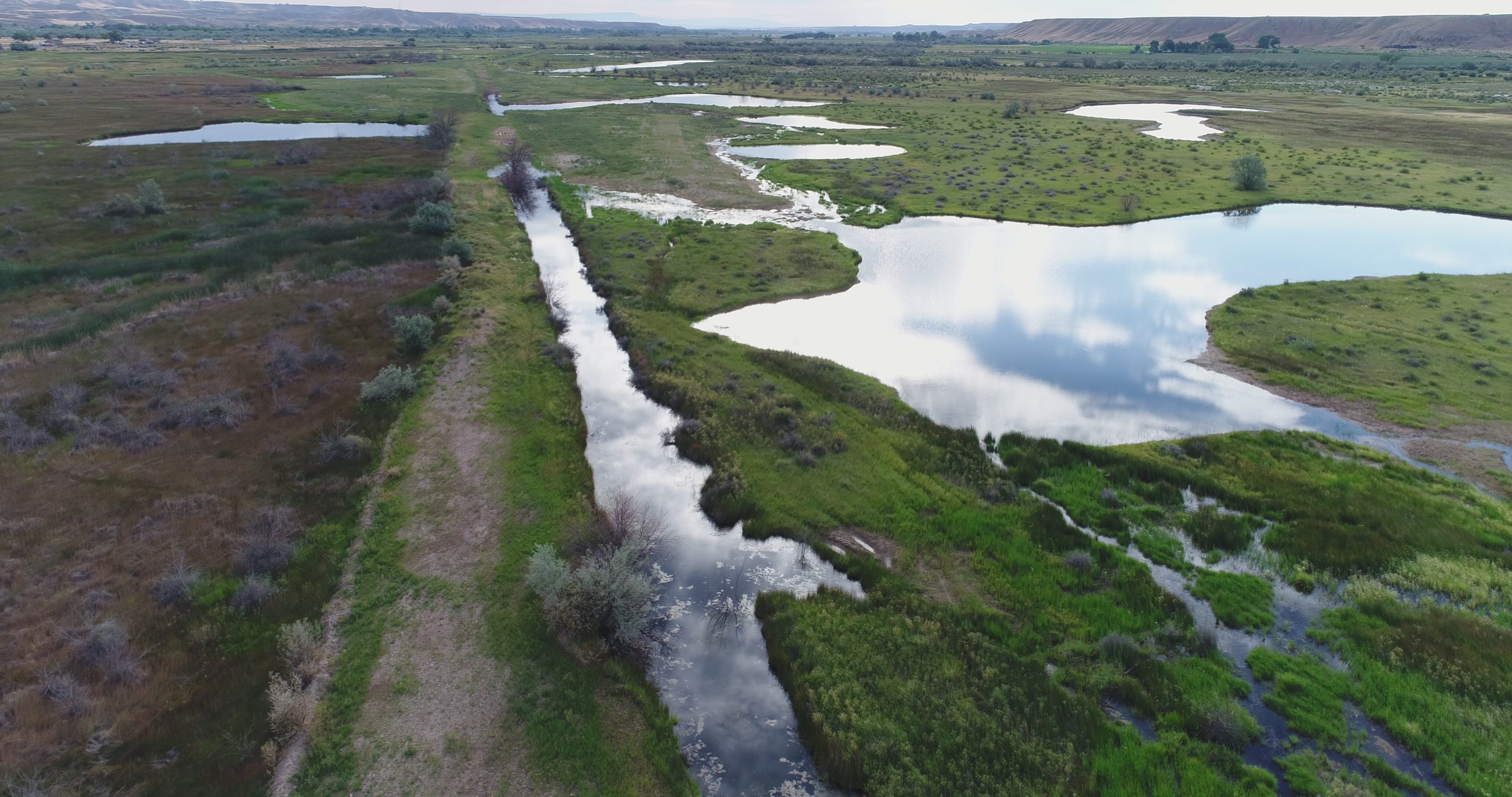 Lower Duchesne Wetlands Project