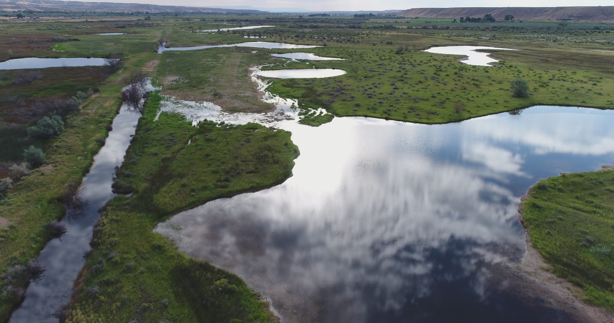 Lower Duchesne Wetlands Project